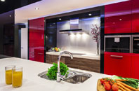 Redmarley Dabitot kitchen extensions